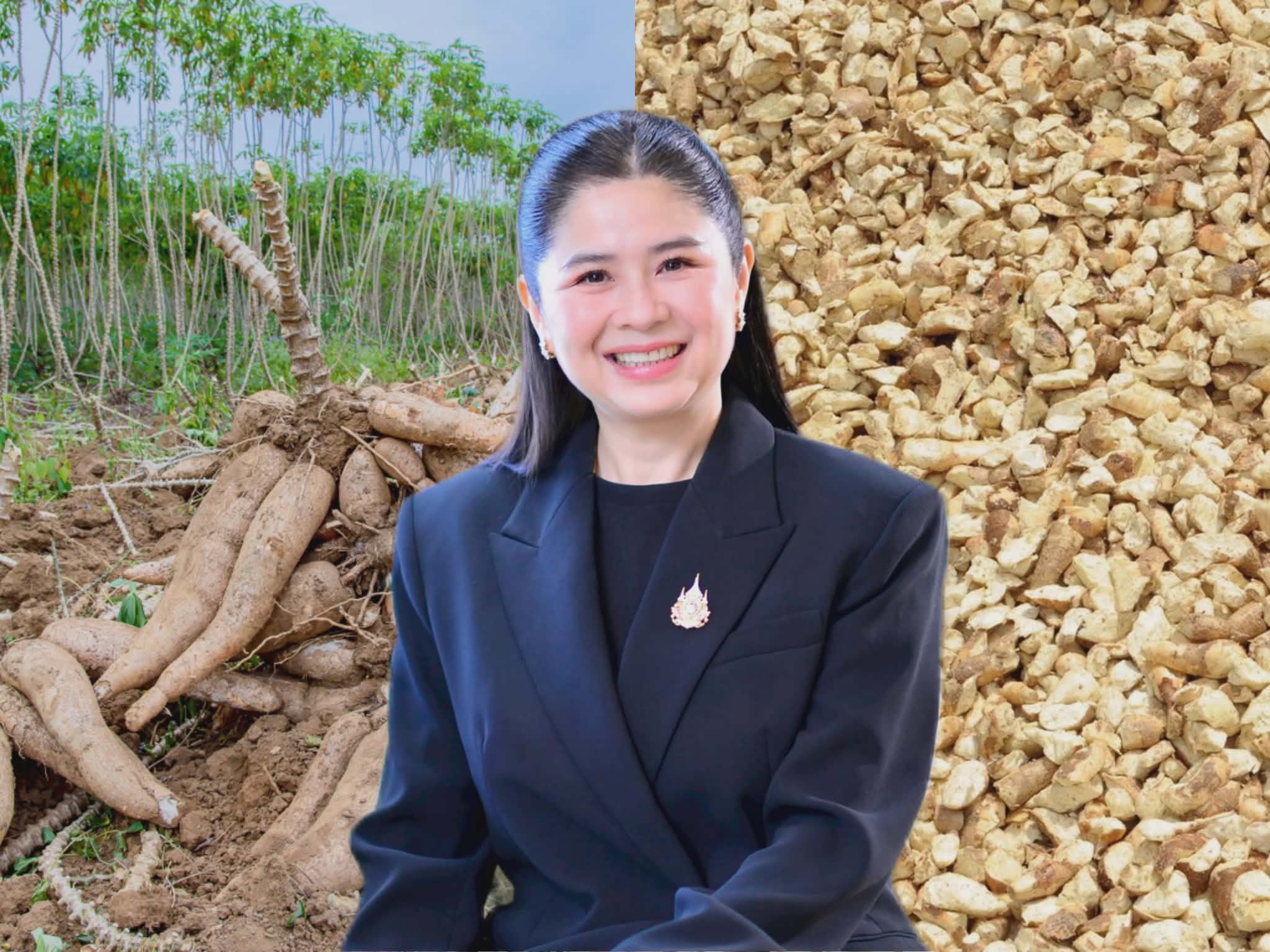 “พาณิชย์”เผยส่งออกมันสำปะหลังปี 68 ทะลุเป้า 8.25 ล้านตัน เพิ่ม 26.53%